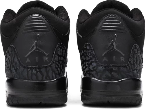 Jordan 3 "Black Cat"
