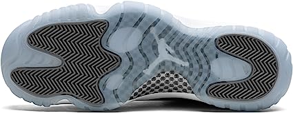 Jordan 11 "Cool Gray"
