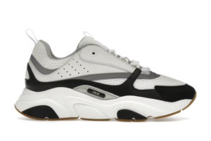Dior B22 "White Black"