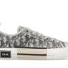Dior B23 Low Top 'Logo Oblique'