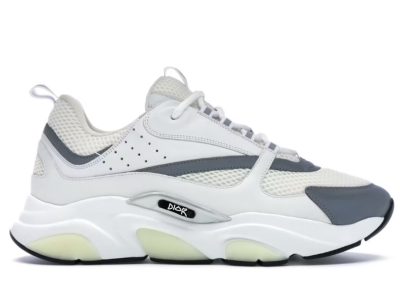 img_2621 Dior B22 "White Silver"