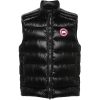 Canada goose Crofton Vest