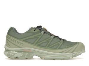 Salomon XT-6 Gore-Tex  "  Desert Sage Lily Pad  "